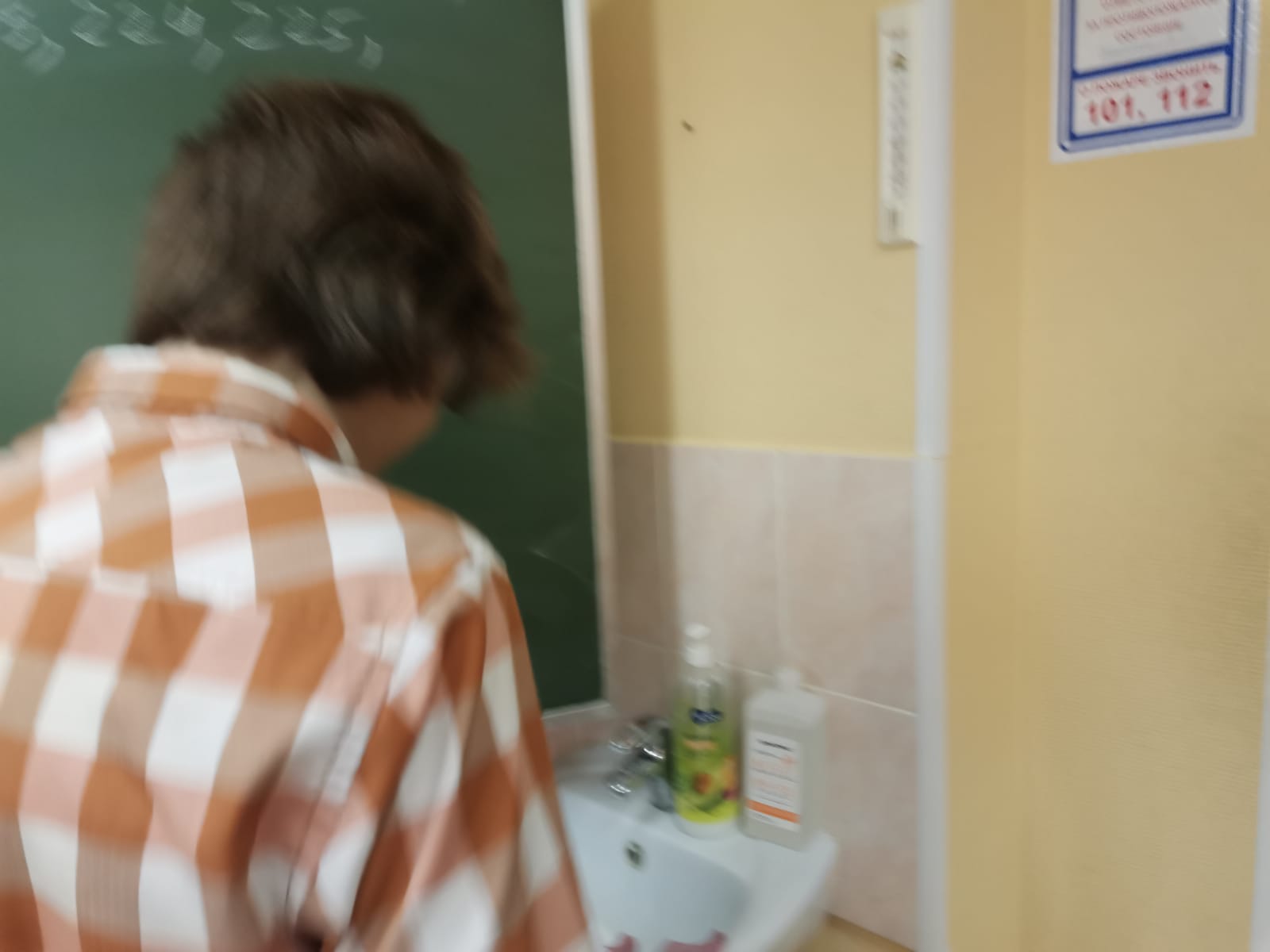 Лев восхищается раковиной